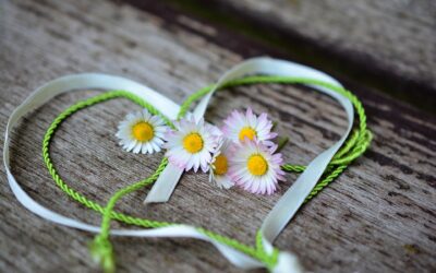 Prijatie našich stvorení